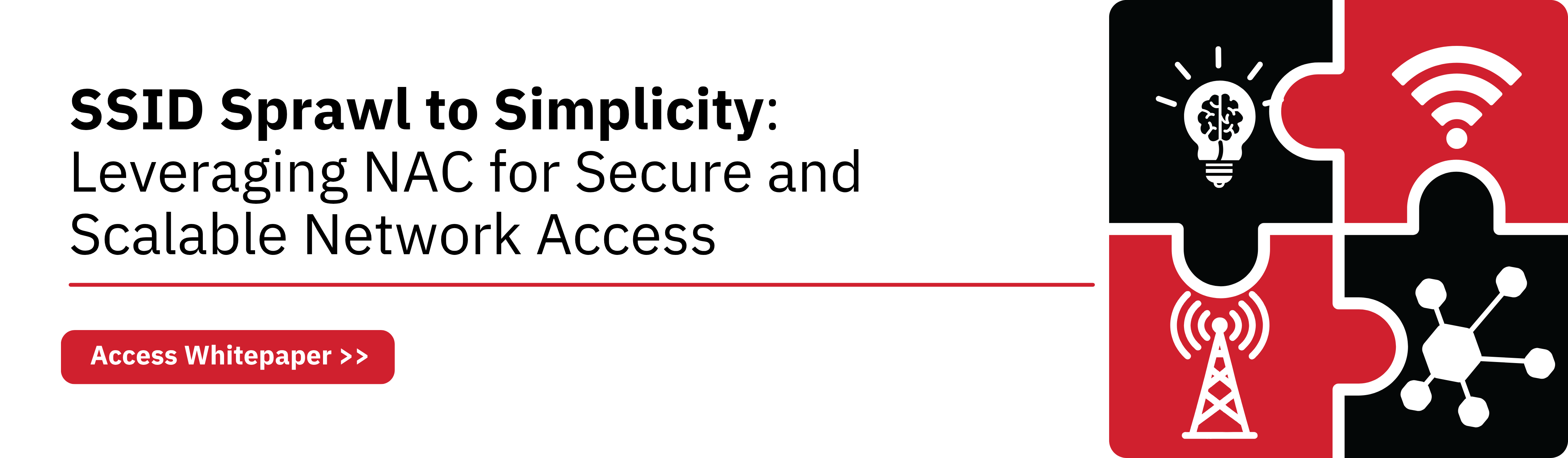 Access_Whitepaper